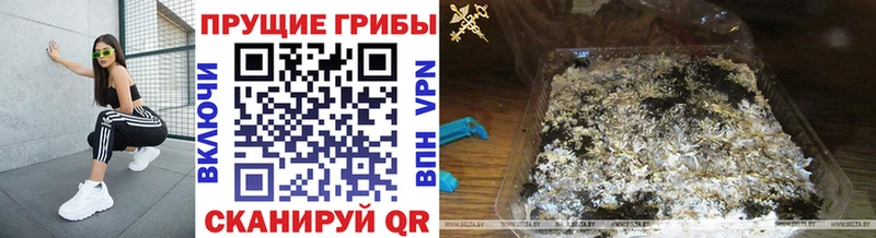 купить наркоту OMG tor Галлюциногенные грибы мицелий Янаул